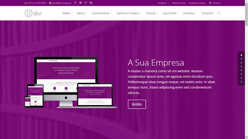 tema-divinal-para-websites-estratega-homepage-corporativa-01